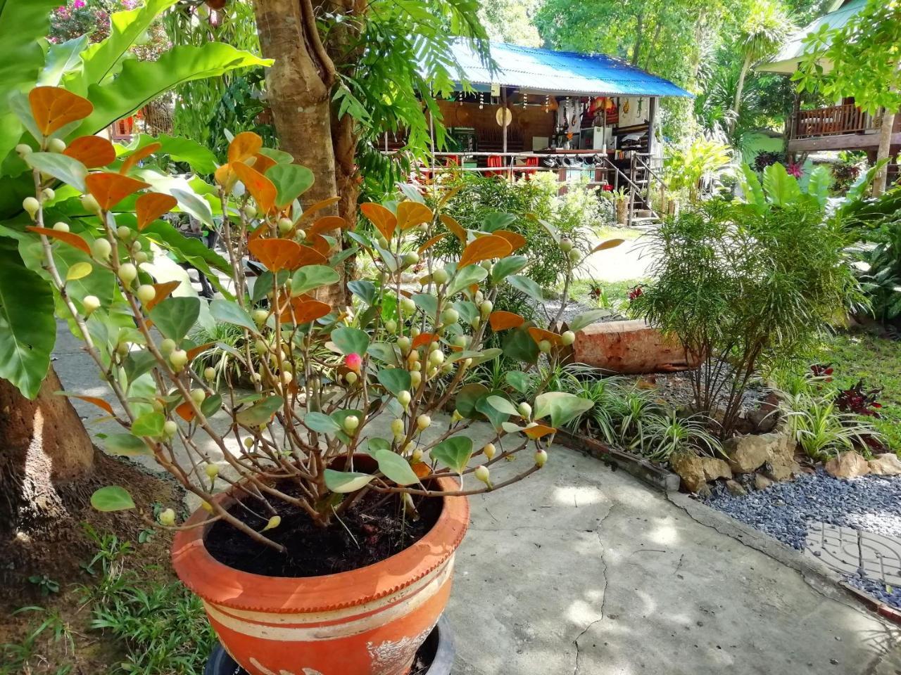 Macura Resort Koh Chang Buitenkant foto