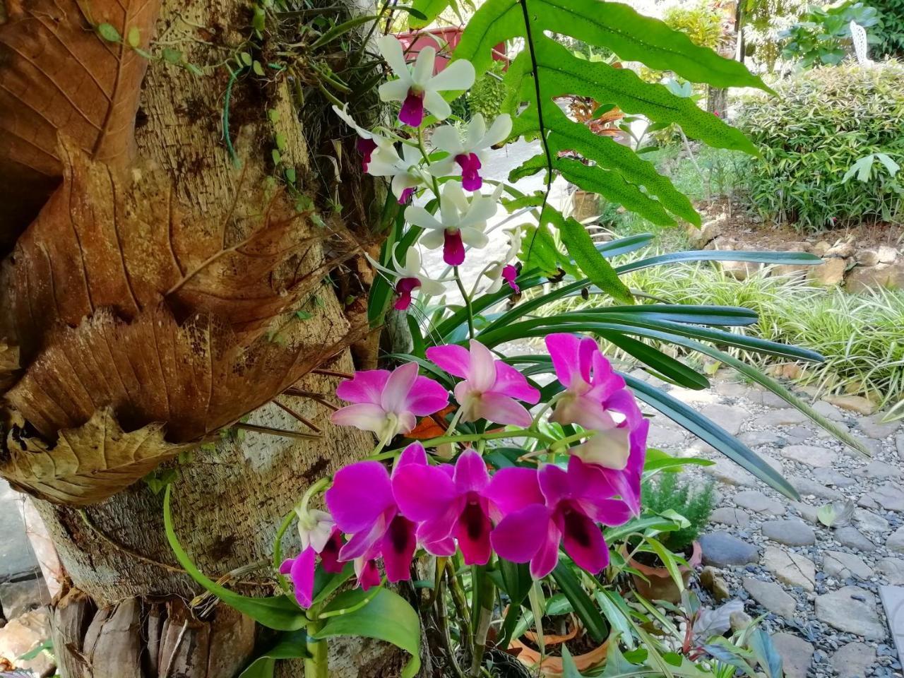 Macura Resort Koh Chang Buitenkant foto